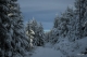 snieznik_2020_21_zima40
